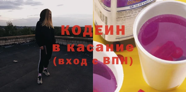 эйфоретик Няндома