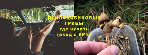 apvp Верея