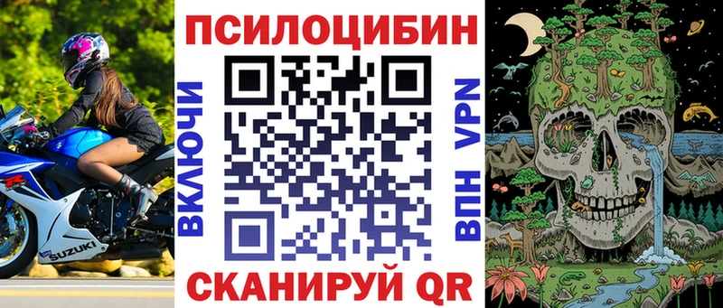 Псилоцибиновые грибы мухоморы  наркота  Севастополь 